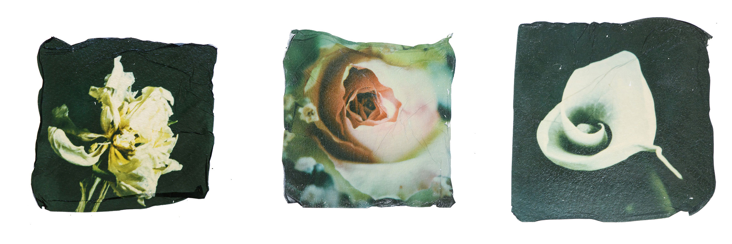 Polaroid Emulsion Lift Mannheim