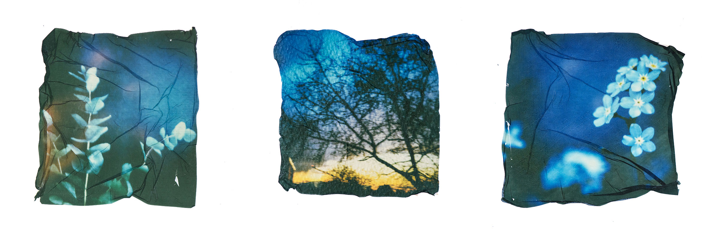 Polaroid Emulsion Lift Mannheim