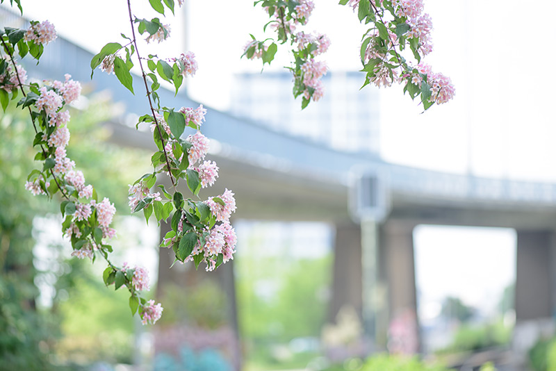 PR-Fotos Stadt Mannheim, Amt für Grünflächen & Umwelt